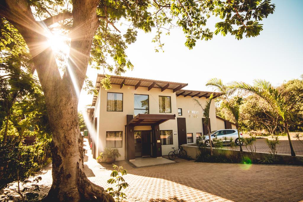 Forest Lodge Saint Lucia Estuary エクステリア 写真