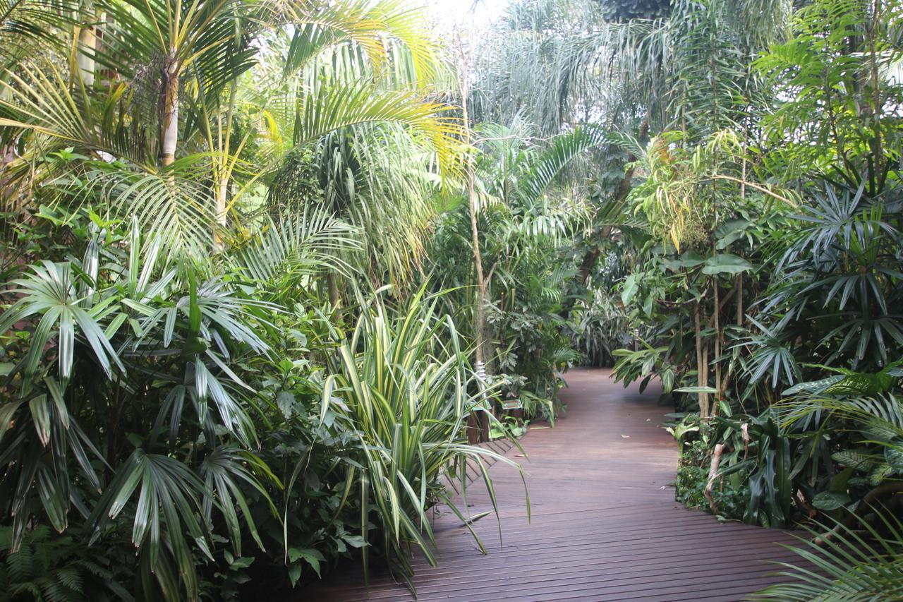 Forest Lodge Saint Lucia Estuary エクステリア 写真