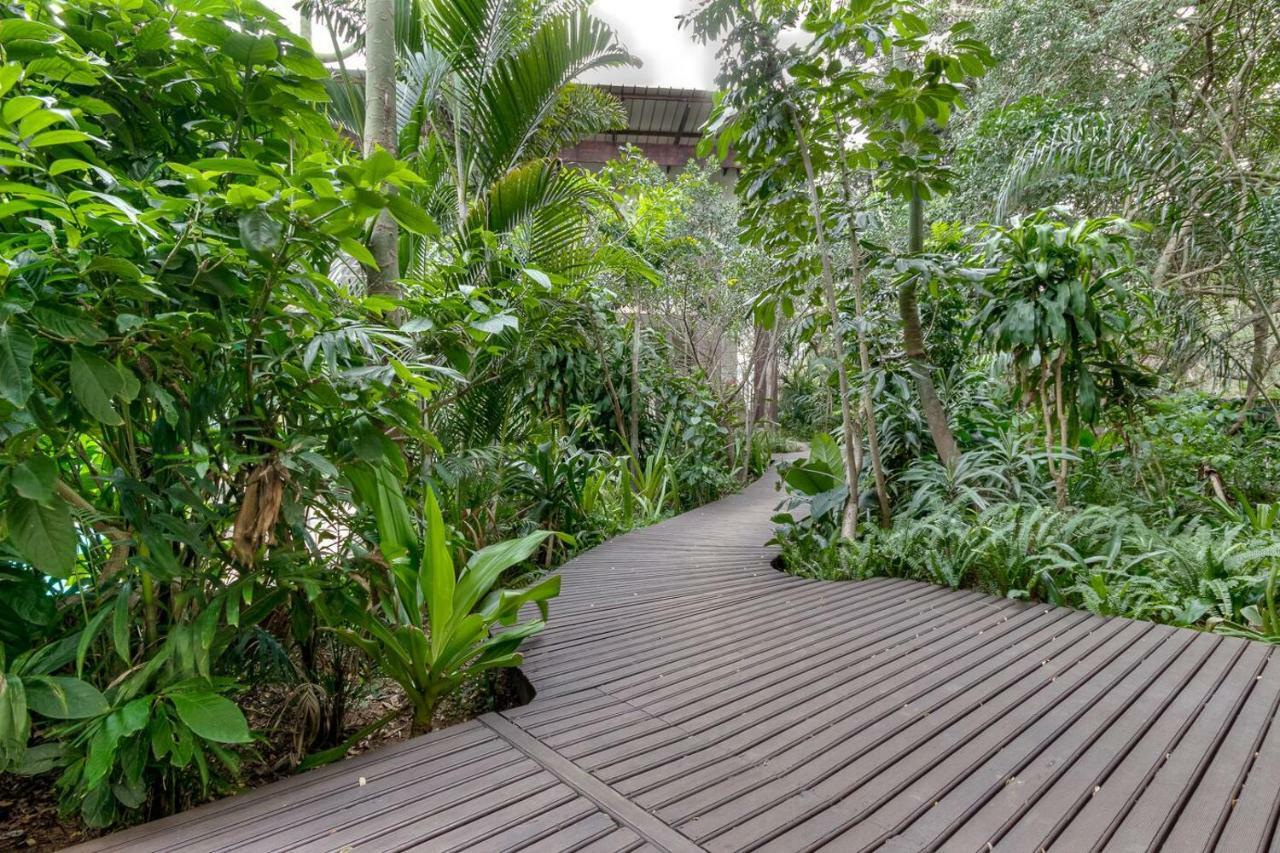 Forest Lodge Saint Lucia Estuary エクステリア 写真